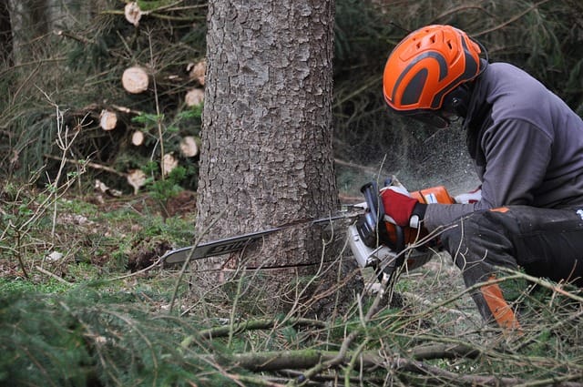 Trefelling